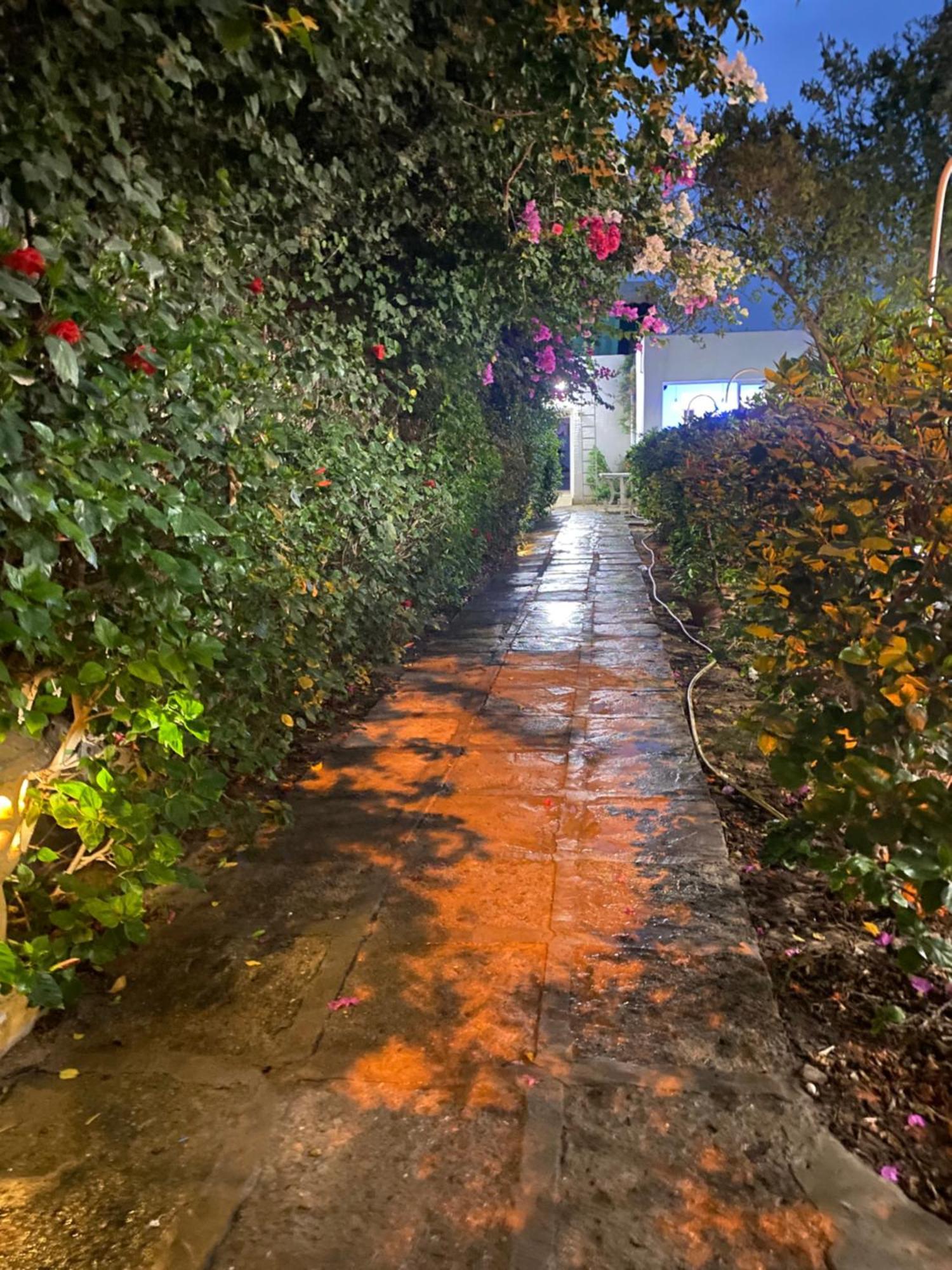 Apartment El Houda Hammamet