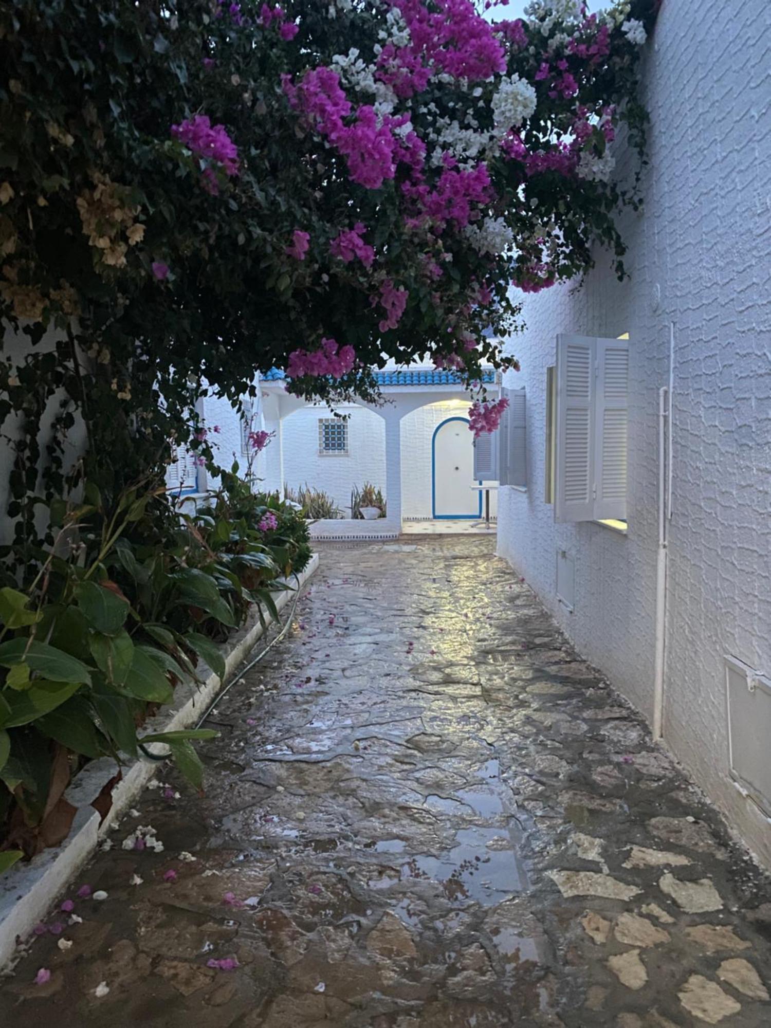 Apartment El Houda Hammamet